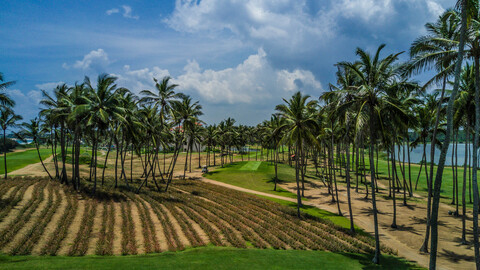 Sri Lanka  golf  and culture